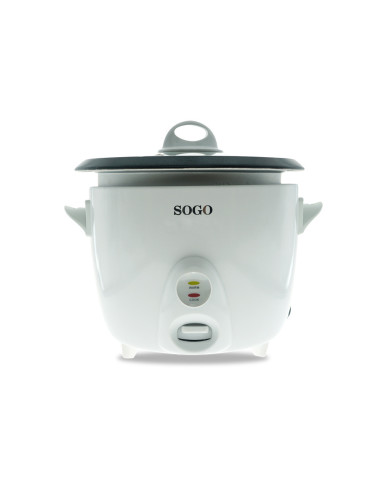 ARR-SS-10065
