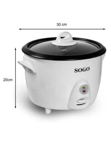 ARR-SS-10065