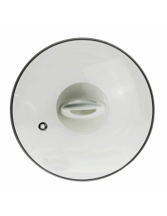 TAPA DE CRISTAL PARA ARROCERA SS-10065
