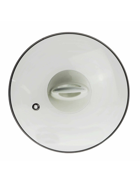 TAPA DE CRISTAL PARA ARROCERA SS-10065