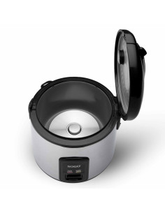 ARROZ-10085 2