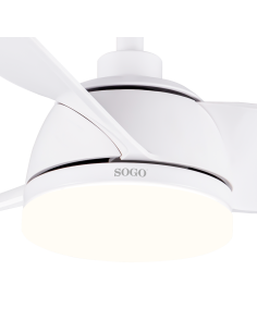 VEN-SS-21835 2