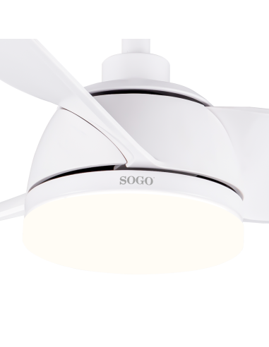 VEN-SS-21835