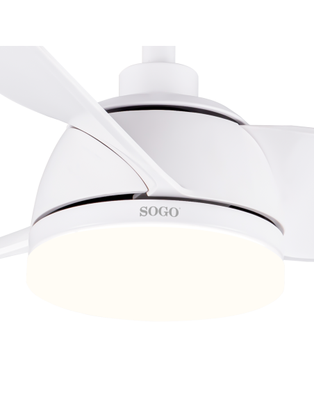 VEN-SS-21835