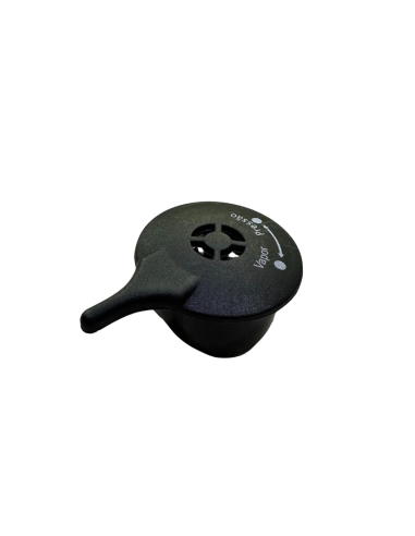 RECAMBIO VALVULA DE VAPOR SS-10725