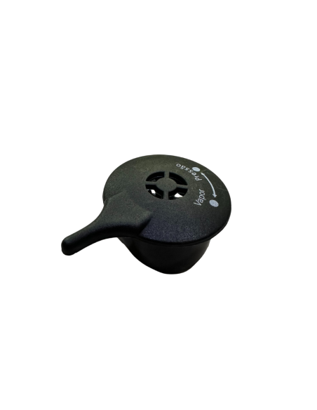 RECAMBIO VALVULA DE VAPOR SS-10725
