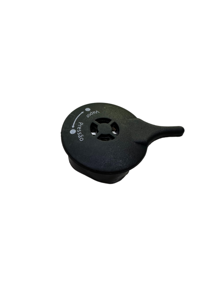 RECAMBIO VALVULA DE VAPOR SS-10725